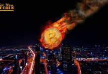 Giá Bitcoin đối mặt với nguy cơ giảm sâu khi đột ngột sụt về $6,900