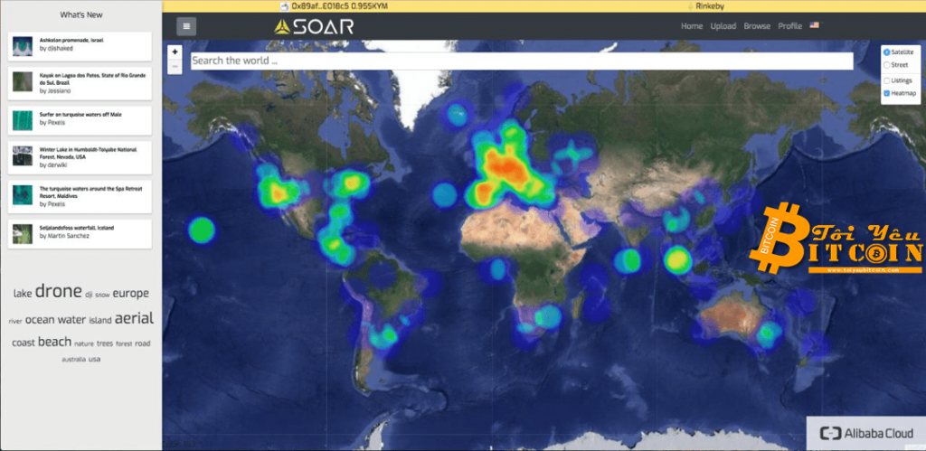 Test Net đã được phát hành