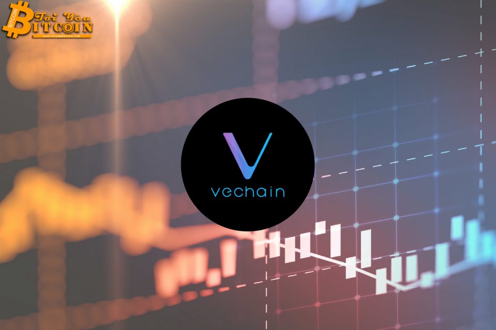 Giá VeChain tăng khủng hơn 40% khi thị trường tiền điện tử mở rộng đợt phục hồi.