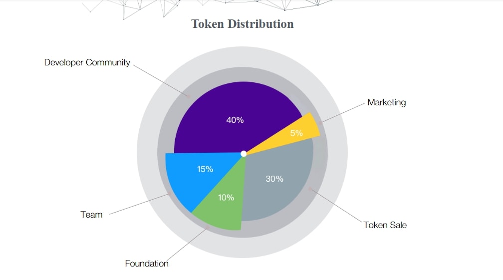 Phân bổ token