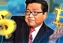 Tom Lee: "Giá Bitcoin bắt đầu đảo chiều"