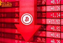 Giá Bitcoin có thể dump về mốc 100 USD