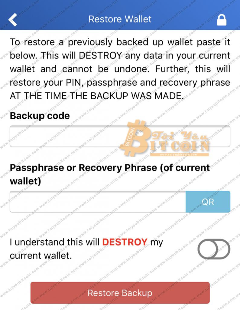 Sao lưu khôi phục ví Ripple trên Toast Wallet. Ảnh 8