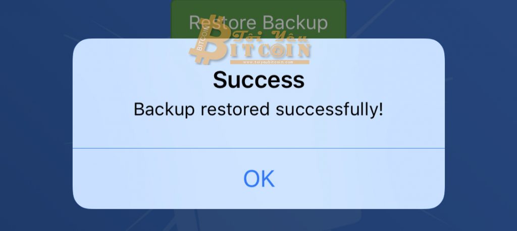 Sao lưu khôi phục ví Ripple trên Toast Wallet. Ảnh 3