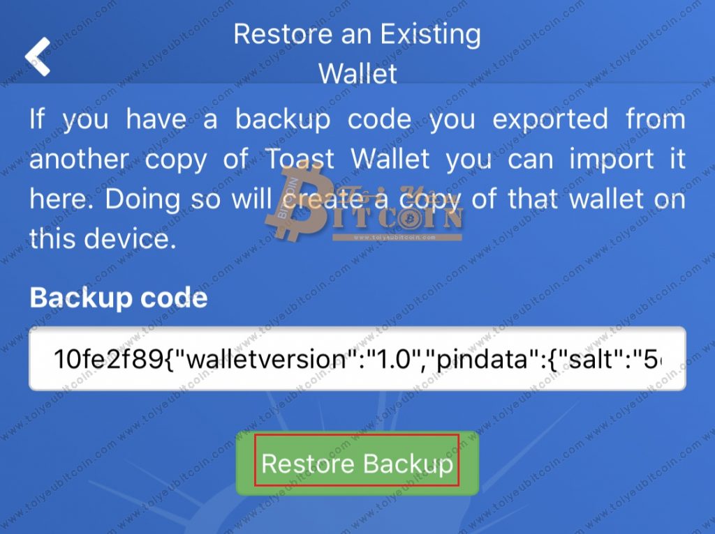 Sao lưu khôi phục ví Ripple trên Toast Wallet. Ảnh 2