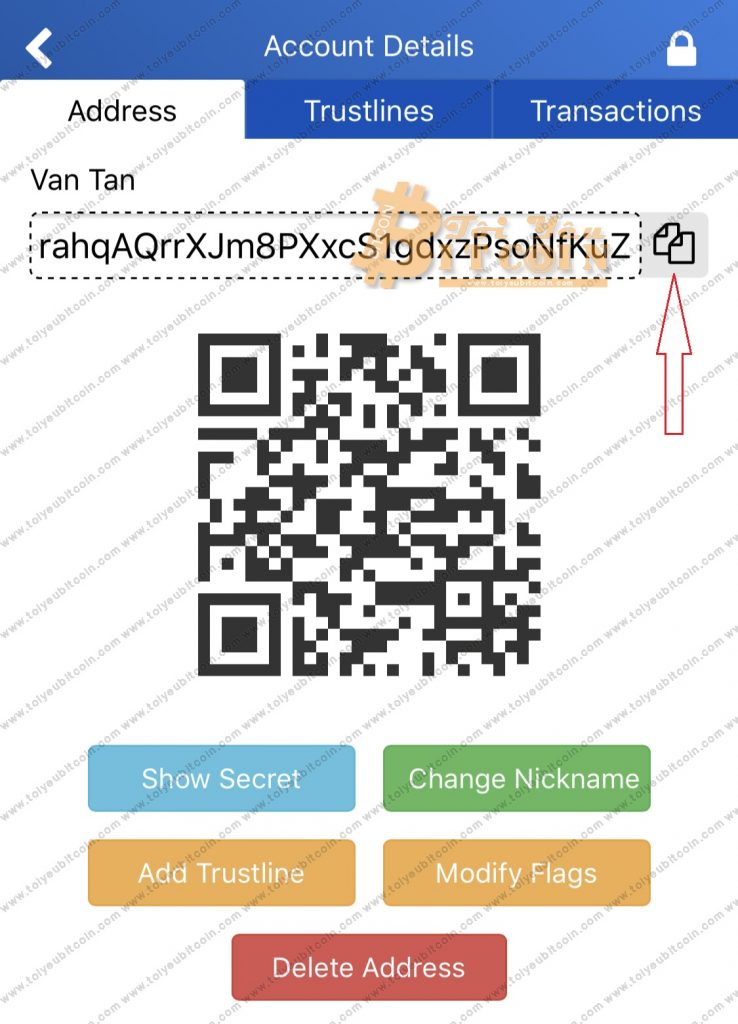 Lấy địa chỉ ví XRP trên Toast Wallet. Ảnh 2