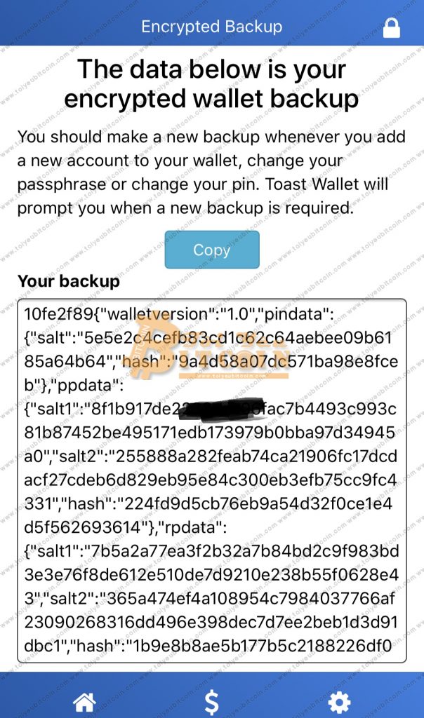 Cài đặt ví Toast Wallet trên điện thoại. Ảnh 13