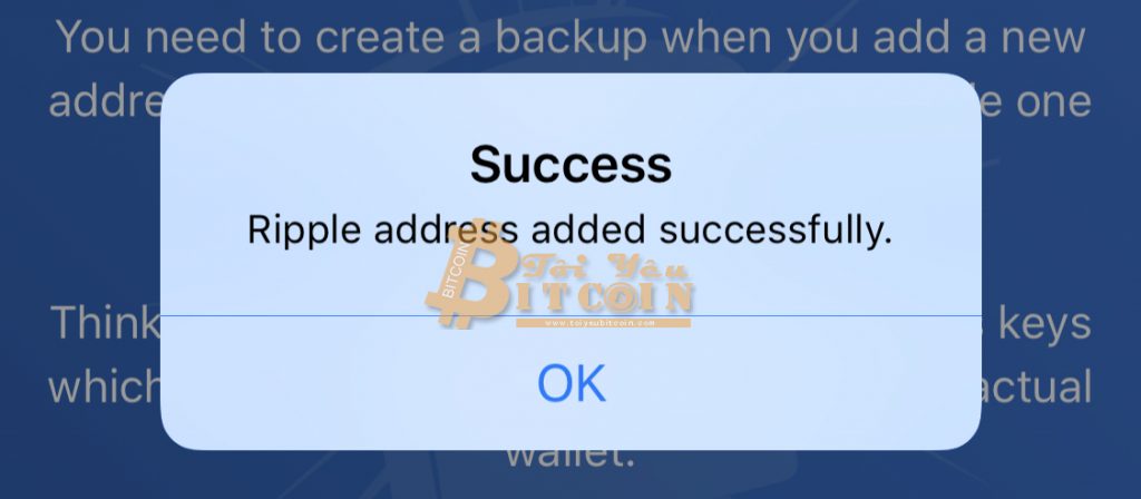 Cài đặt ví Toast Wallet trên điện thoại. Ảnh 11