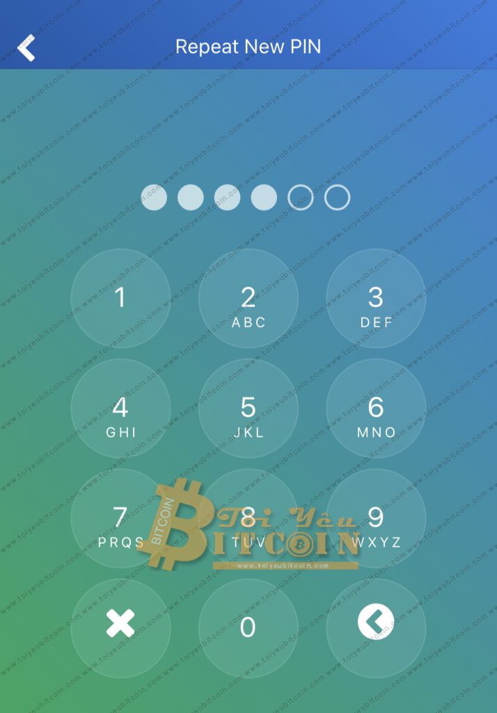 Cài đặt ví Toast Wallet trên điện thoại. Ảnh 3