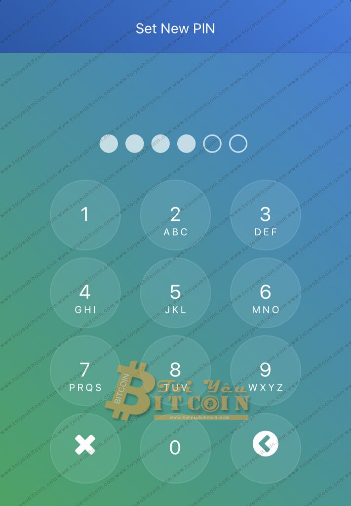 Cài đặt ví Toast Wallet trên điện thoại. Ảnh 2