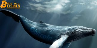 Những chú “cá voi” Bitcoin nổi tiếng trong thị trường crypto