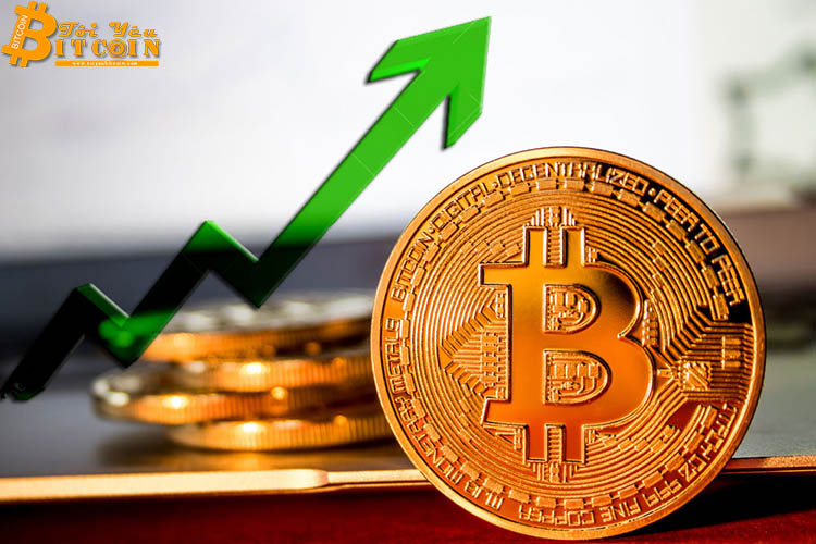 Vượt ngưỡng $6,700, giá Bitcoin liệu có đang thực sự quay đầu tăng giá?