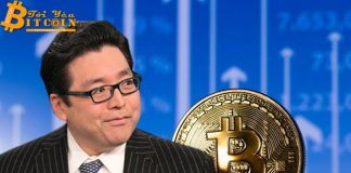 Tom Lee: Bitcoin sẽ đạt 20.000 USD trong năm nay