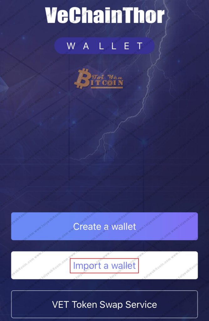 Khôi phục ví VeChainThor. Ảnh 3