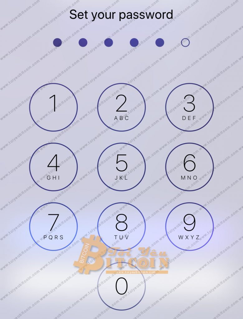 Khôi phục ví VeChainThor. Ảnh 2