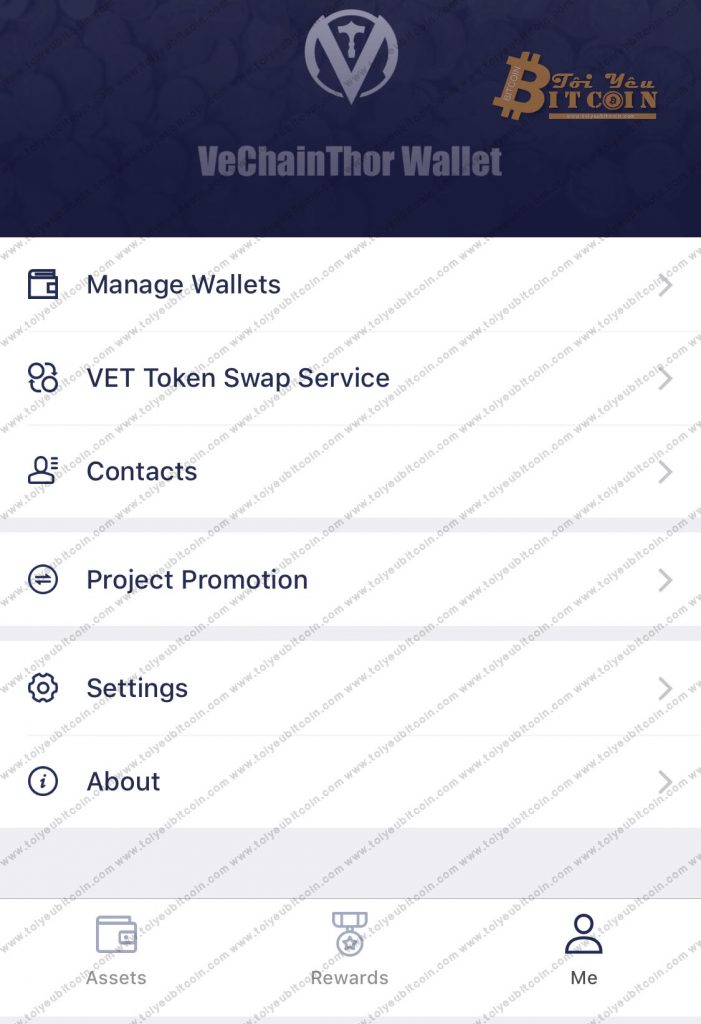 Tổng quan ví VechainThor. Ảnh 4