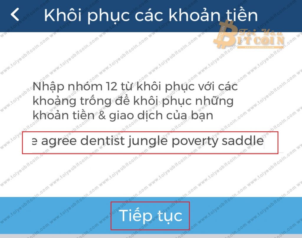 Khôi phục ví Blockchain trên điện thoại. Ảnh 4