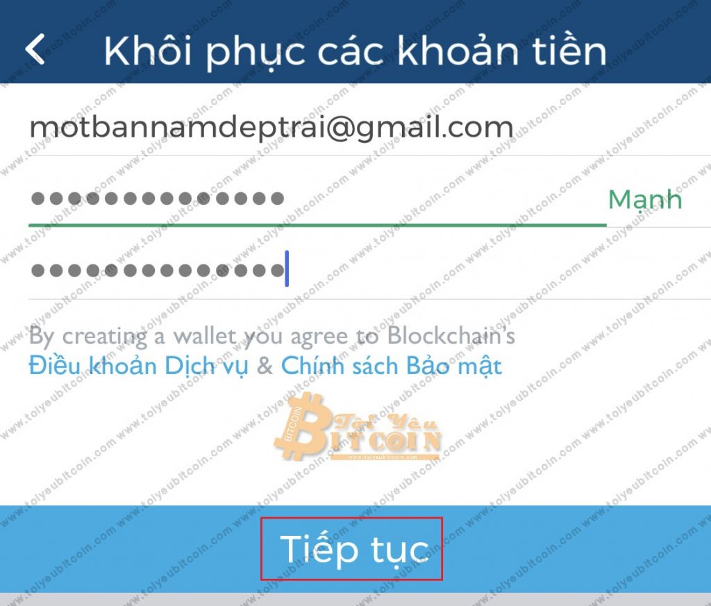 Khôi phục ví Blockchain trên điện thoại. Ảnh 3
