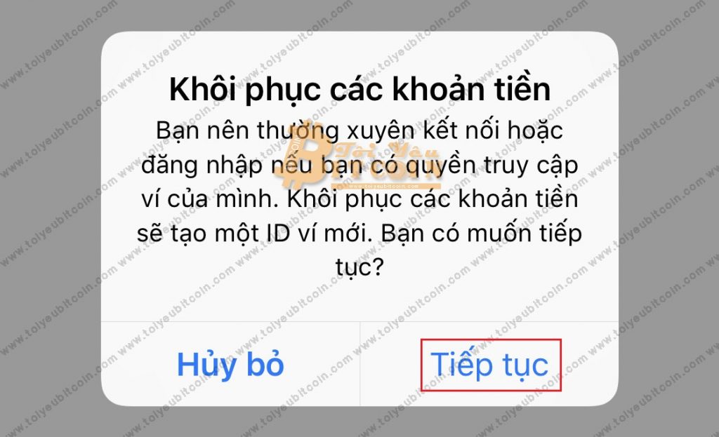 Khôi phục ví Blockchain trên điện thoại. Ảnh 2