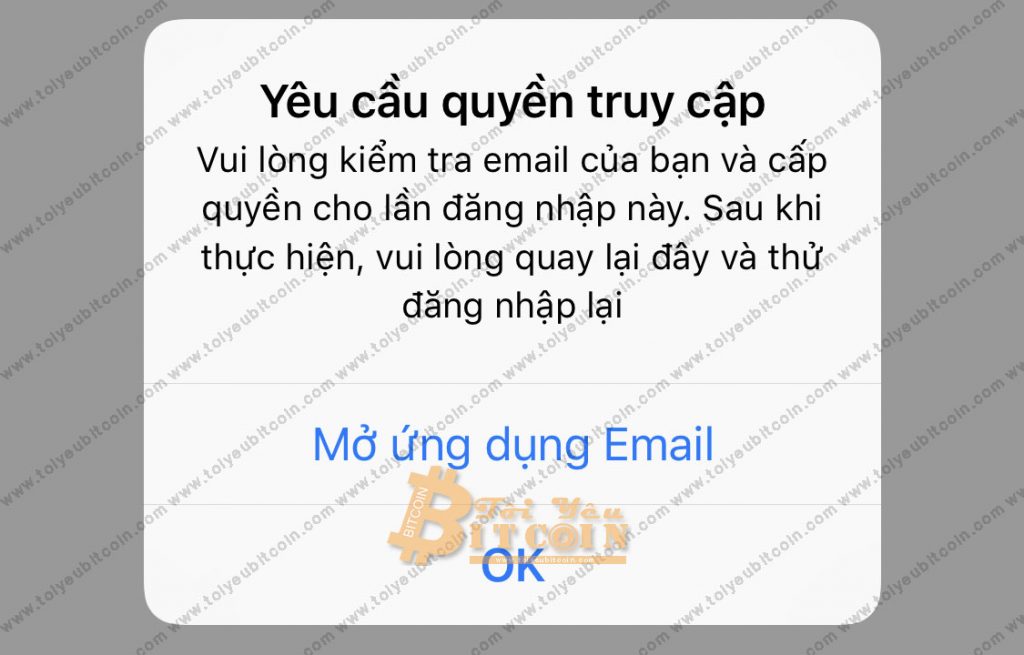 Đăng nhập ví Blockchain trên điện thoại. Ảnh 6