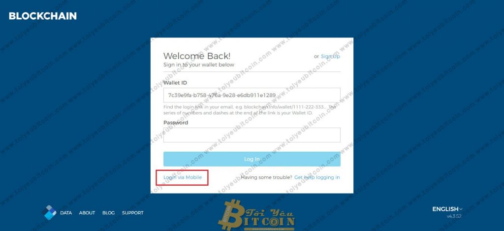 Đăng nhập ví Blockchain trên Web. Ảnh 2