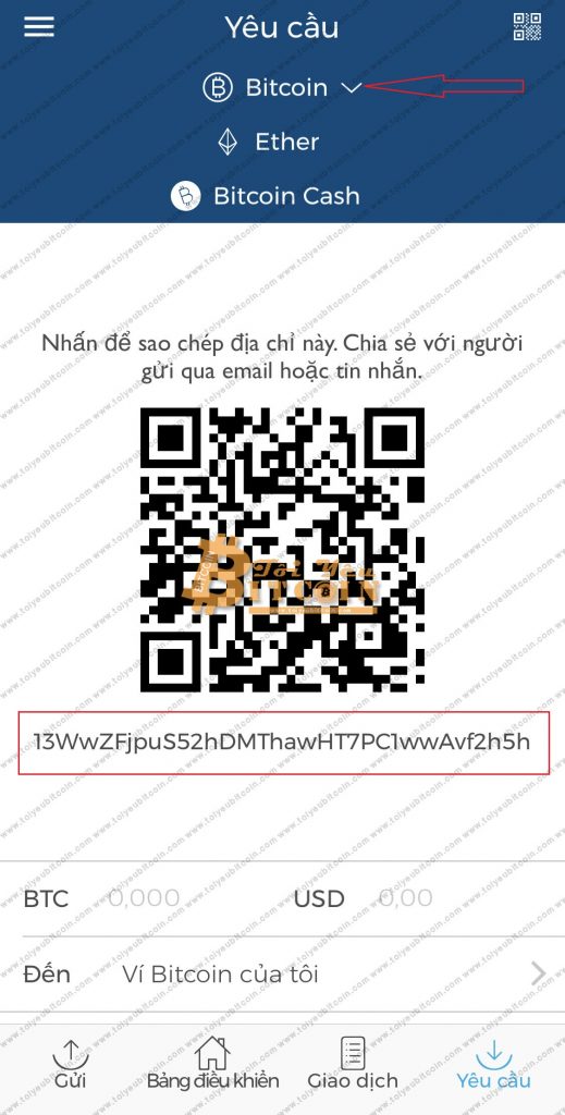 Lấy đại chỉ ví coin trên Blockchain