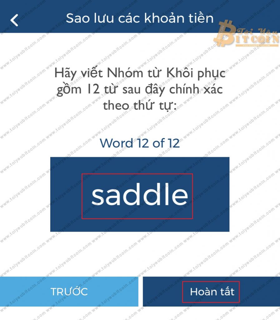 Sao lưu ví Blockchain. Ảnh 3