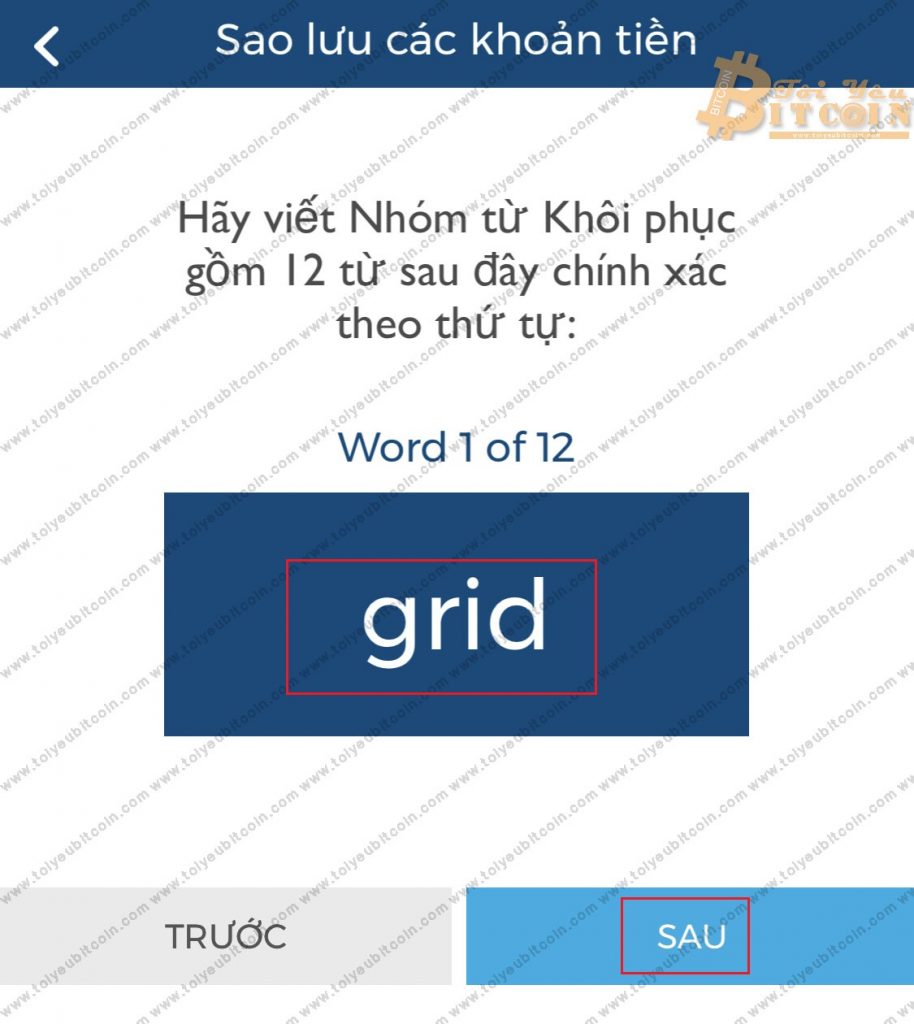 Sao lưu ví Blockchain. Ảnh 2