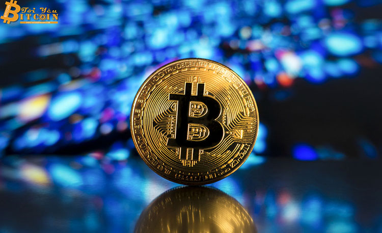 Những dấu hiệu cho thấy giá Bitcoin sẽ sớm hồi phục vào đầu năm 2019?