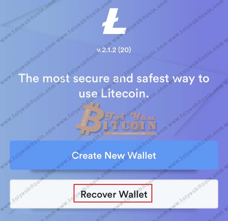 Khôi phục ví Litecoin trên LoafWallet. Ảnh 1