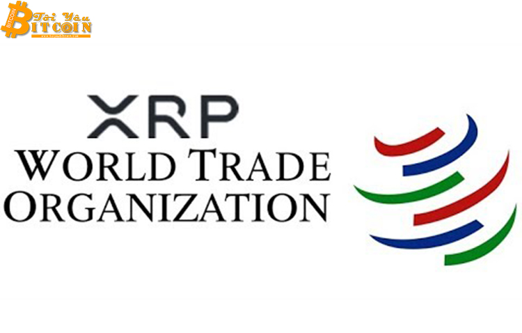 WTO: Ripple là bước đột phá cho hệ thống tài chính thế giới
