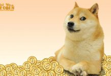 Tiềm năng của Dogecoin