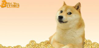 Tiềm năng của Dogecoin