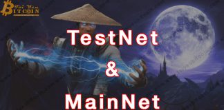 Testnet và MainNet