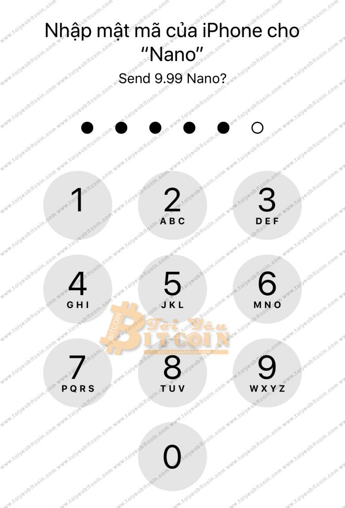 Rút tiền từ ví Nano Wallet. Ảnh 5