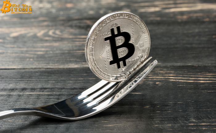 Hard fork Bitcoin Cash: Bitcoin SV đang thắng trong “cuộc chiến” hashrate với Bitcoin ABC?