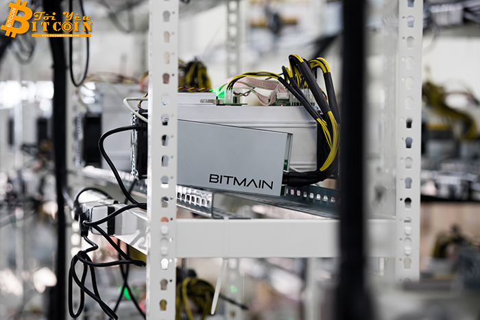 Bitmain điều động 90.000 máy đào Antminer S9 dành riêng cho hard fork Bitcoin Cash