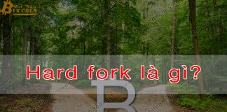 Hard fork là gì?