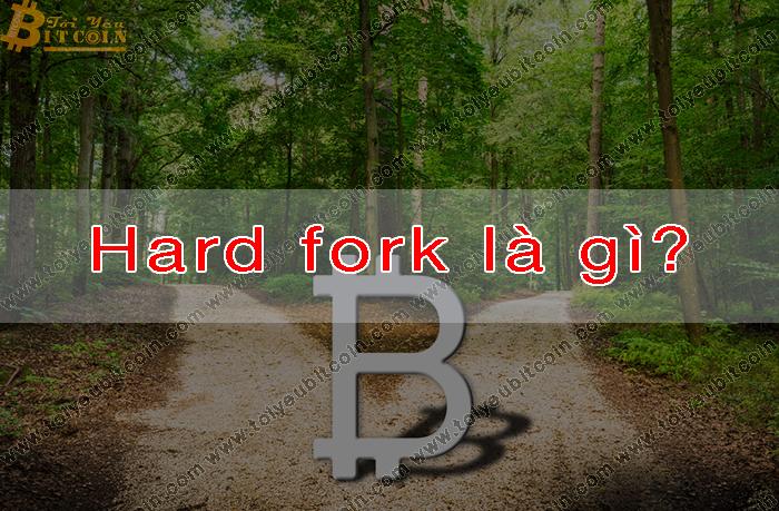 Hard fork là gì?