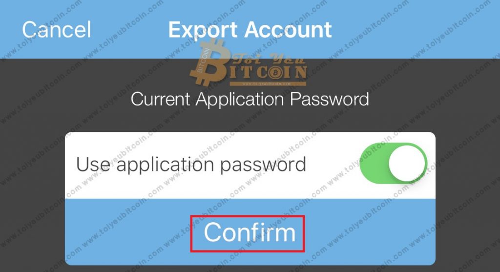 Sao lưu ví NEM coin. Ảnh 3