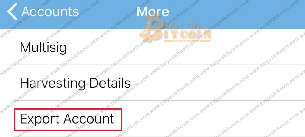 Sao lưu ví NEM coin. Ảnh 2