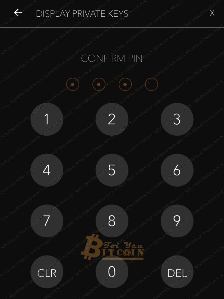 Cách lấy Private key trên ví JAXX. Ảnh 2