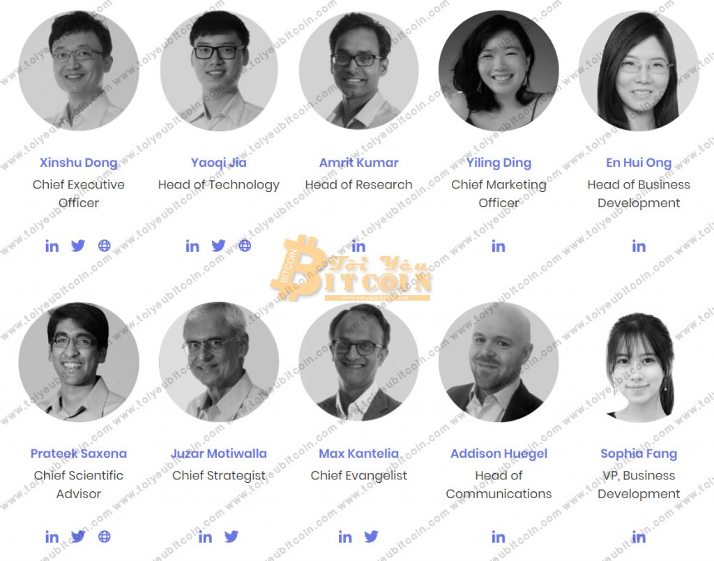 Zilliqa Team