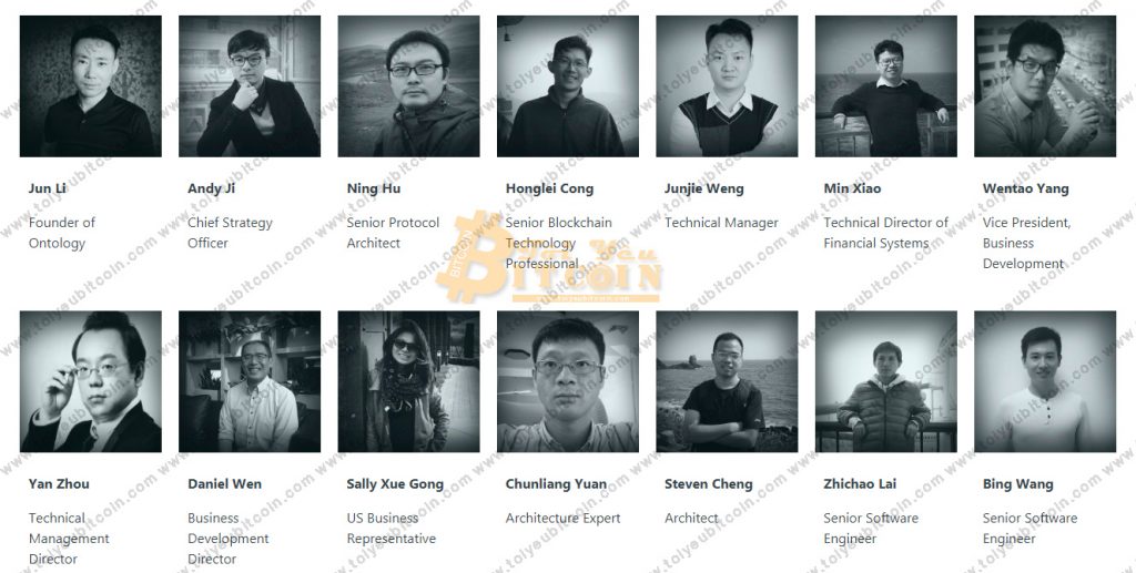 Ontology Team
