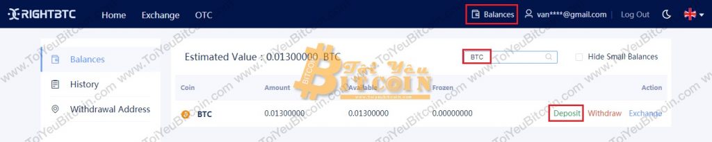 Nạp tiền vào sàn RightBTC. Ảnh 1