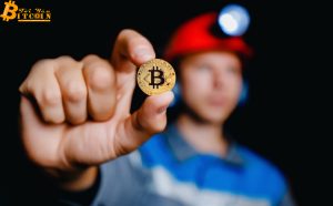Các miner sẽ sống sao vào năm 2019