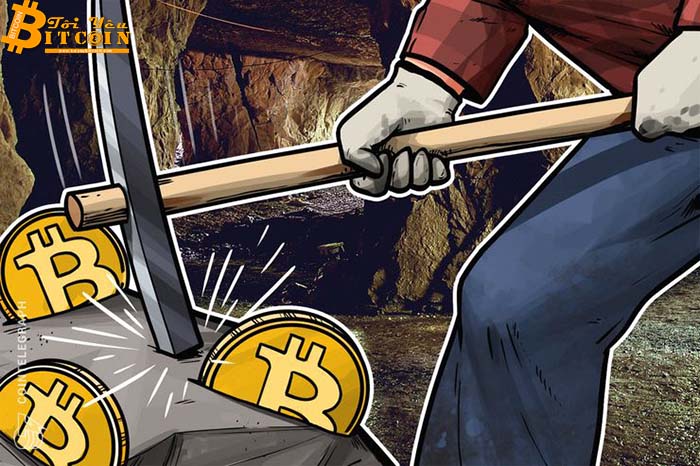 Thợ đào Bitcoin tắt 1,3 triệu “trâu đào” – Bitcoin đang hấp hối?