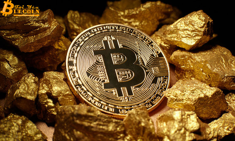 Hội đồng Vàng Thế giới (WGC): Bitcoin không giống Vàng