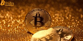 CEO VanEck: Nhà đầu tư Bitcoin đã chuyển hết sang vàng rồi!