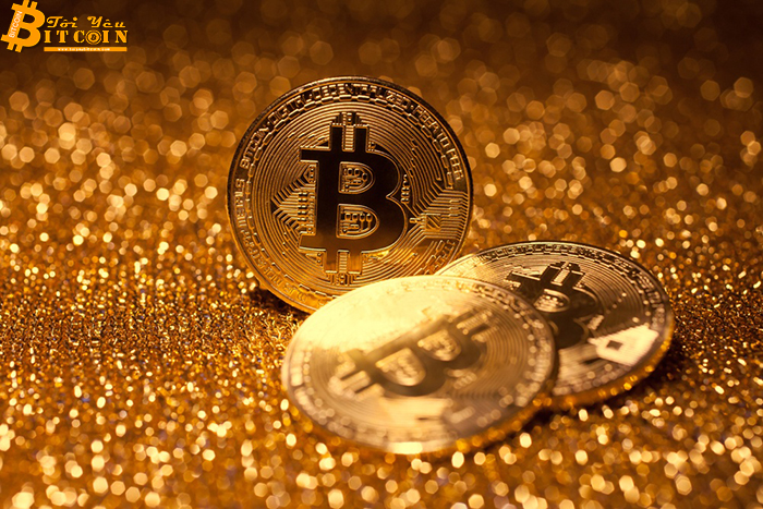 CEO VanEck: Nhà đầu tư Bitcoin đã chuyển hết sang vàng rồi!